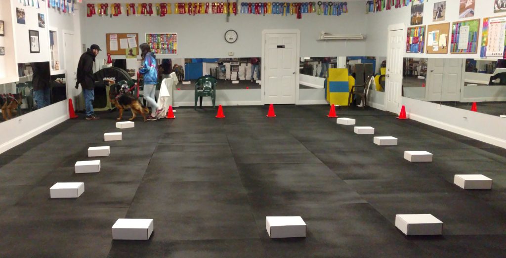 Training Room set up for nose work