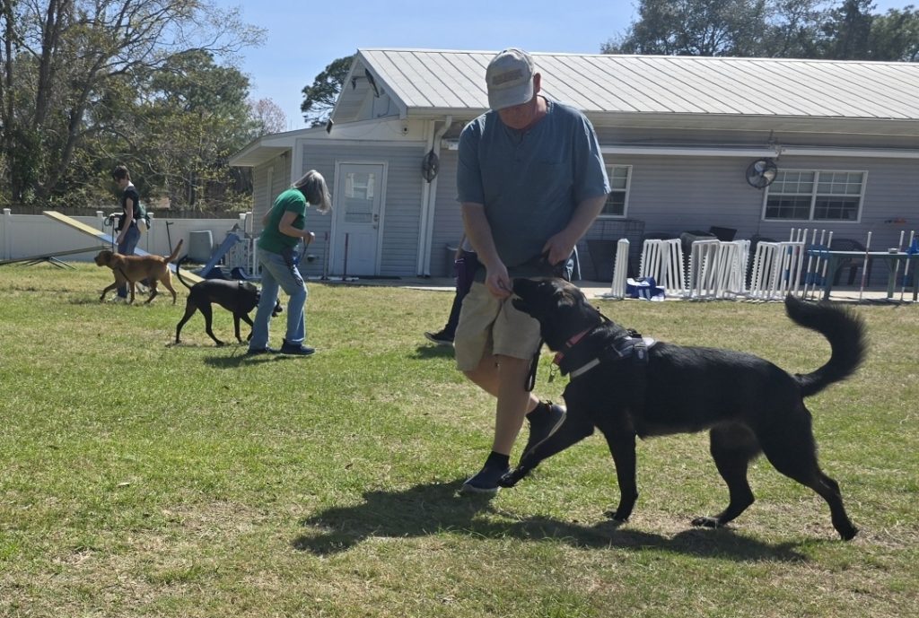 Ruffled To Relaxed 2